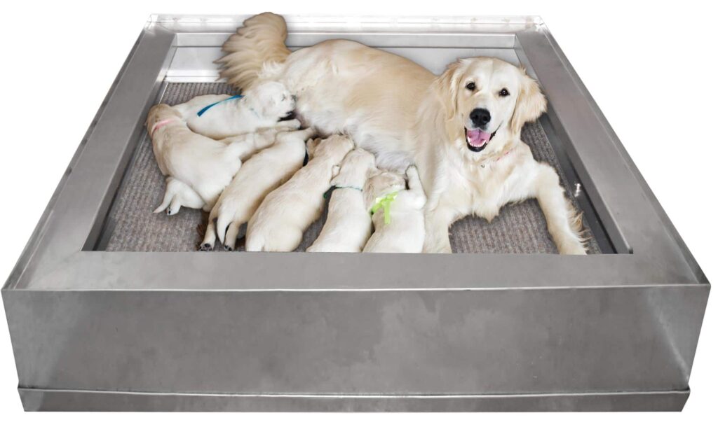 Whelping Box